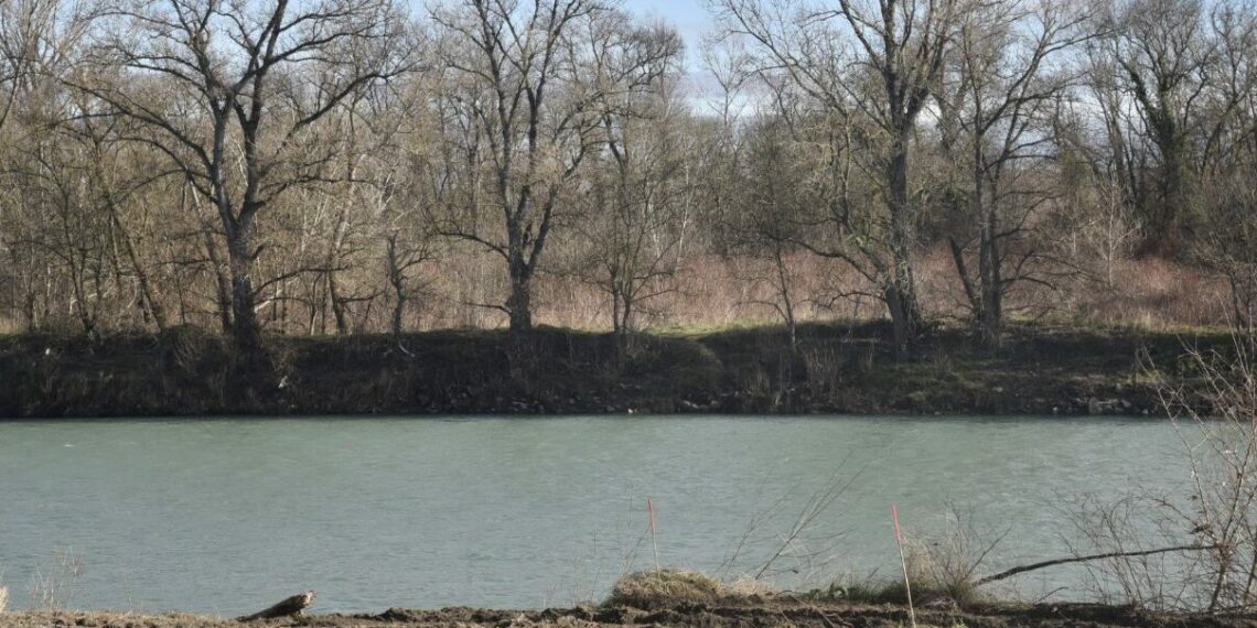 Rhône : des lônes remis en eau