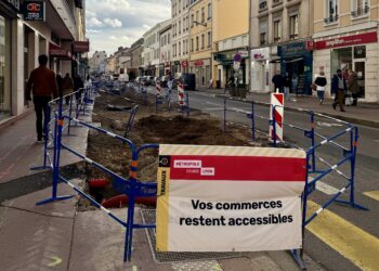 L'avenue des Frères Lumières (Lyon 8e)
