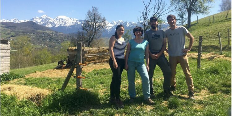 Fermes urbaines : les collectivités locales aident les nouveaux agriculteurs